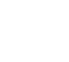 The Vyzer's logo.