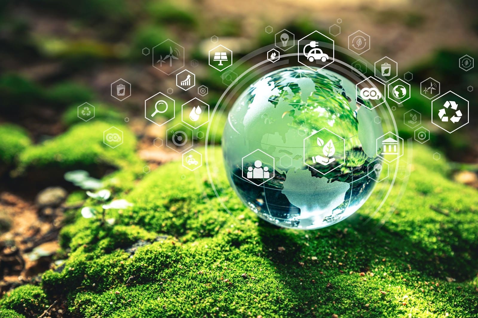 Crystal globe on moss with environmental icons, representing the concept of impact investing for a sustainable world.